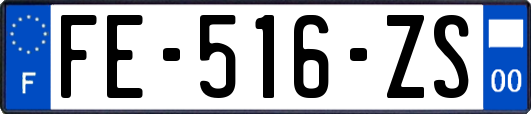 FE-516-ZS