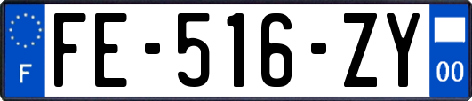 FE-516-ZY