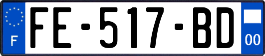 FE-517-BD