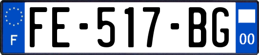 FE-517-BG
