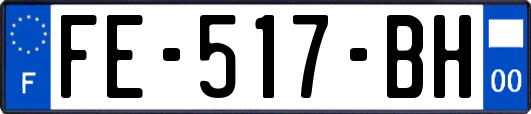 FE-517-BH