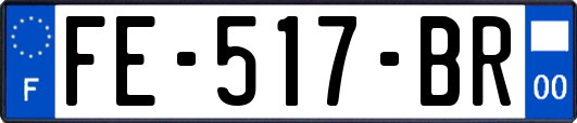 FE-517-BR
