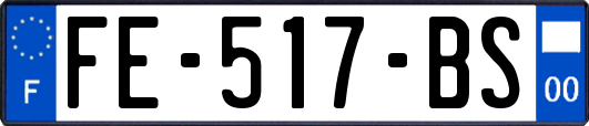 FE-517-BS