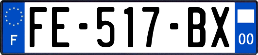 FE-517-BX