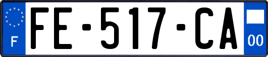 FE-517-CA