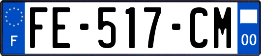 FE-517-CM