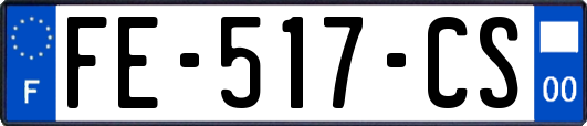 FE-517-CS