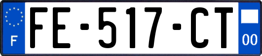FE-517-CT