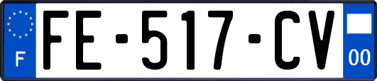 FE-517-CV