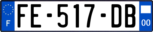 FE-517-DB