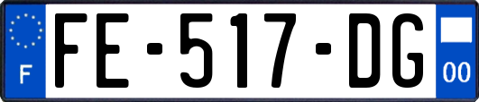 FE-517-DG