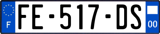 FE-517-DS