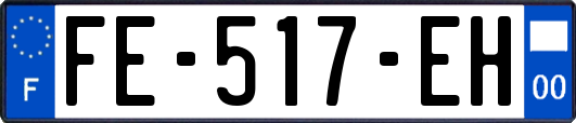 FE-517-EH