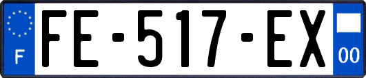 FE-517-EX