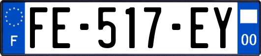 FE-517-EY