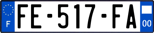 FE-517-FA