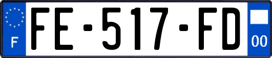 FE-517-FD