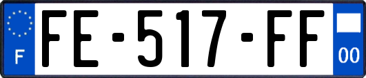 FE-517-FF