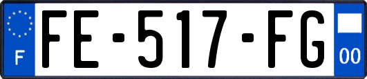 FE-517-FG