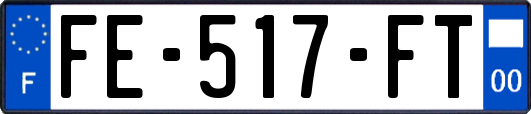FE-517-FT