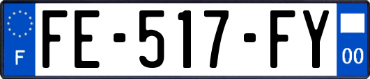 FE-517-FY