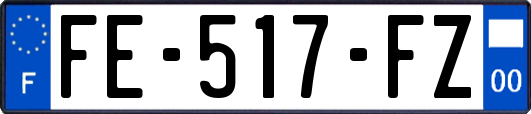 FE-517-FZ