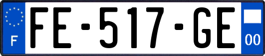 FE-517-GE