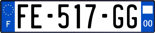FE-517-GG