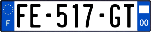 FE-517-GT