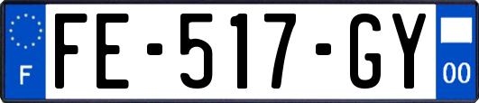 FE-517-GY