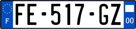 FE-517-GZ