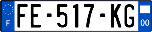 FE-517-KG