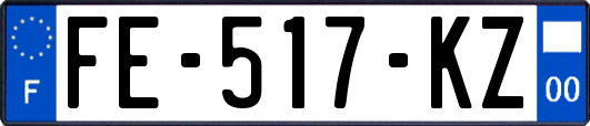 FE-517-KZ