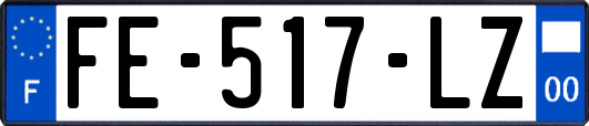 FE-517-LZ