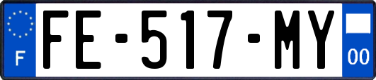 FE-517-MY