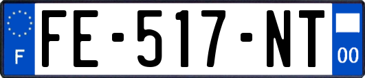 FE-517-NT