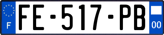 FE-517-PB