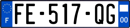 FE-517-QG