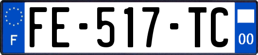 FE-517-TC