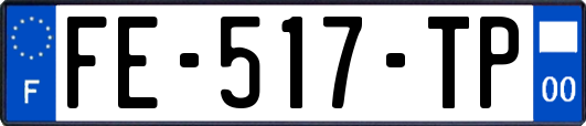 FE-517-TP