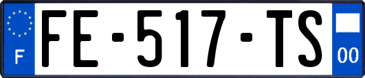 FE-517-TS