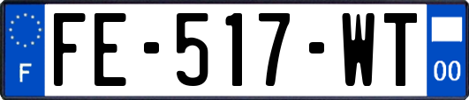 FE-517-WT