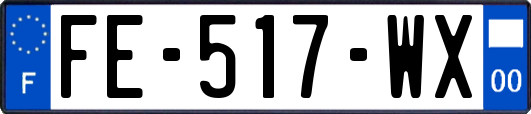 FE-517-WX