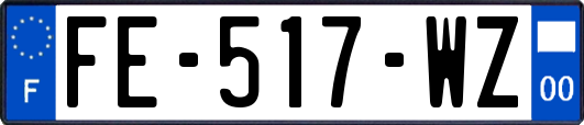 FE-517-WZ