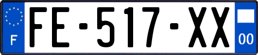 FE-517-XX