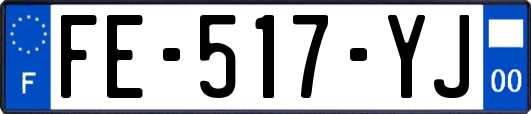 FE-517-YJ