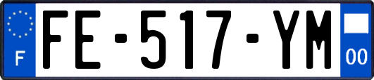 FE-517-YM