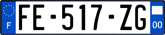 FE-517-ZG