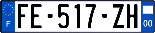 FE-517-ZH