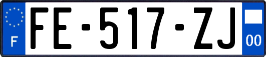 FE-517-ZJ